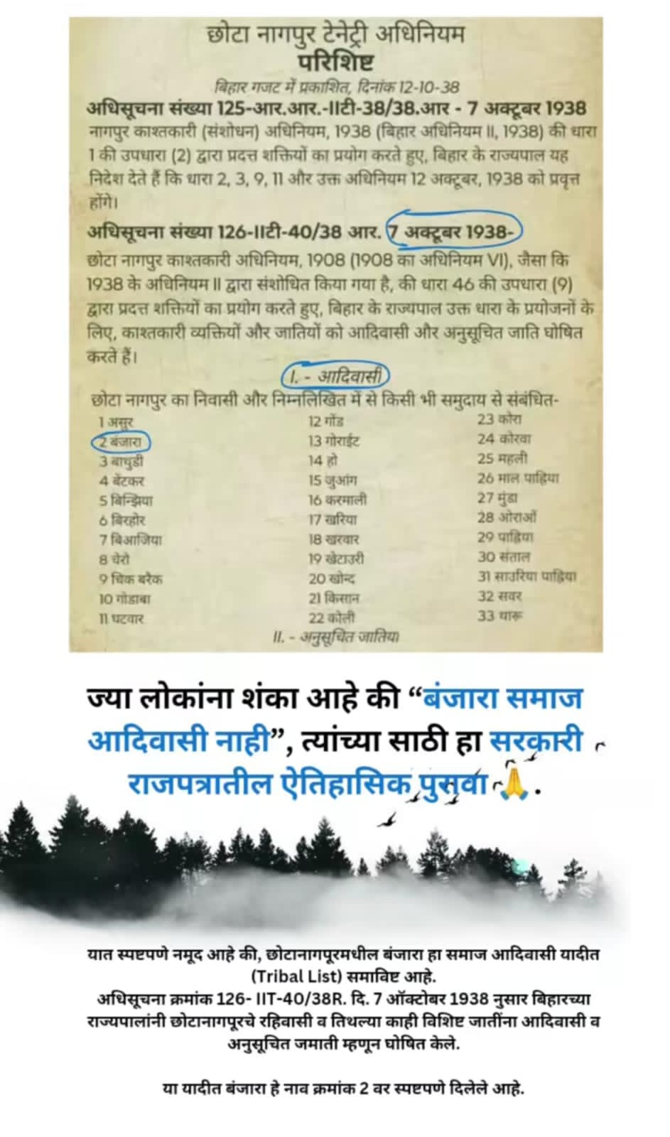 Article or order screenshot